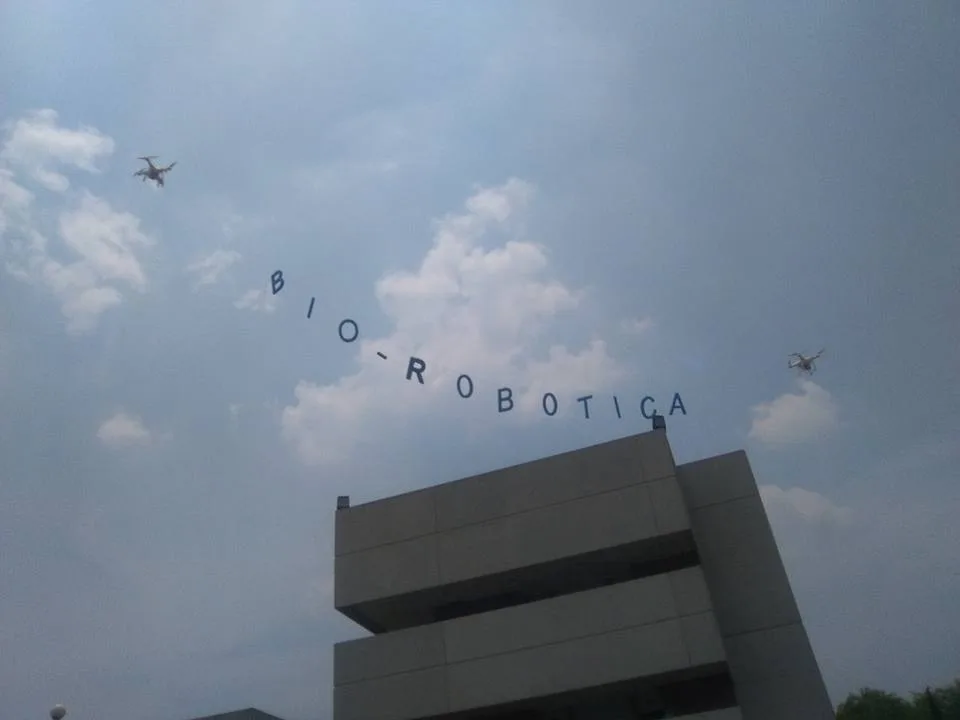 Biorobótica aéreo