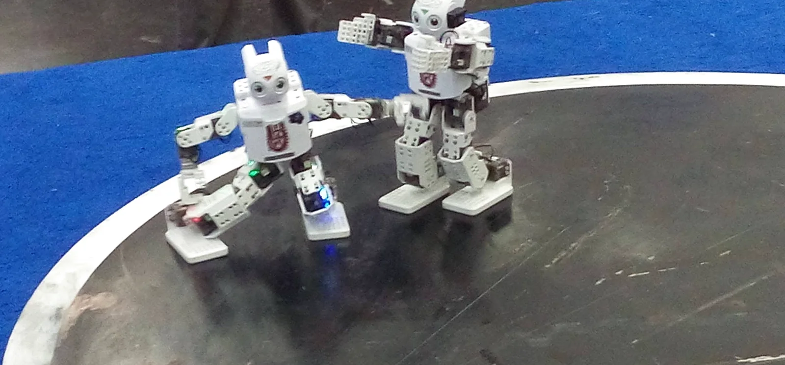 Dos robots humanoides del club frente a frente sobre un tapete de competencia