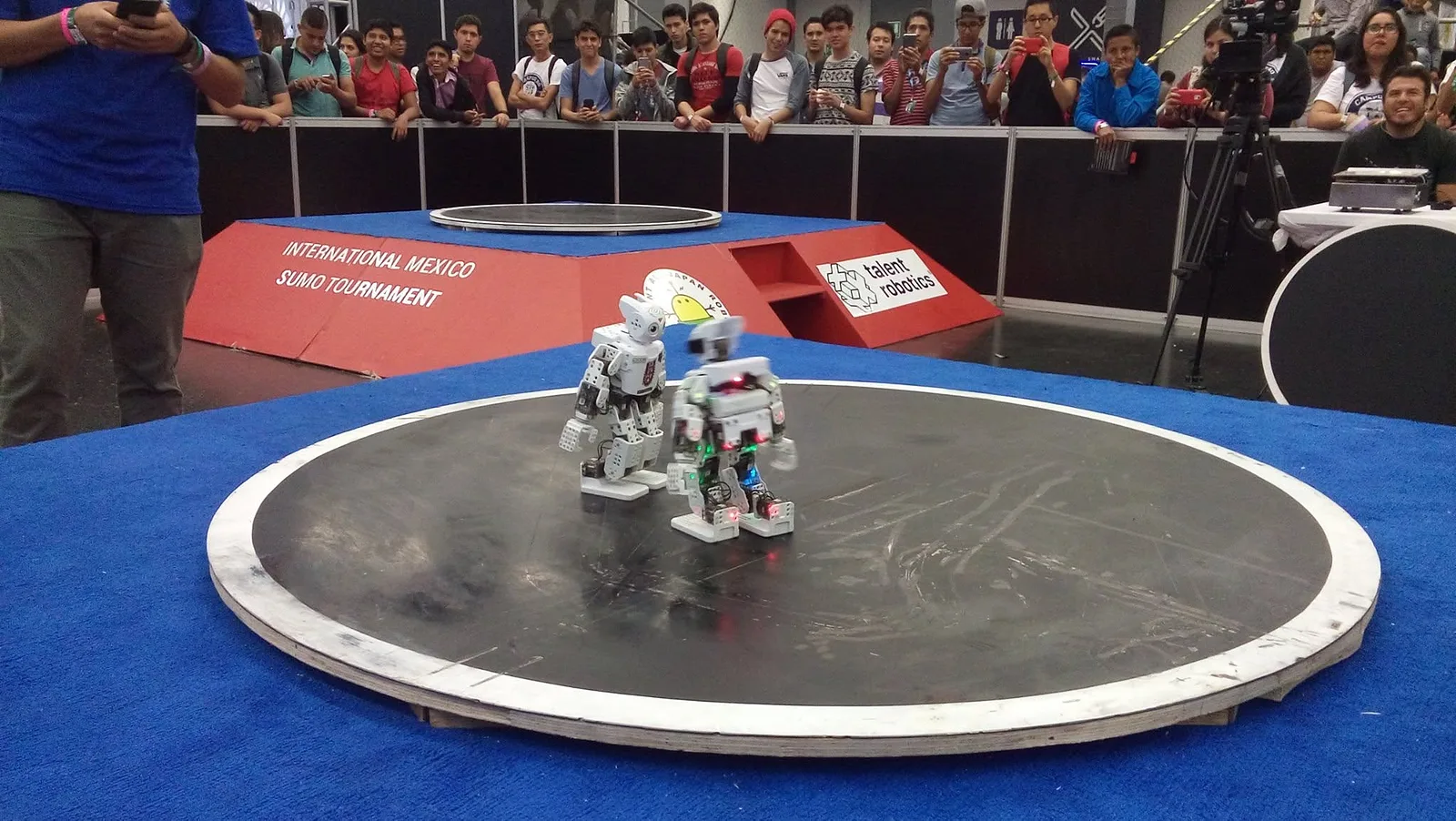 Robots sumo compitiendo en un torneo
